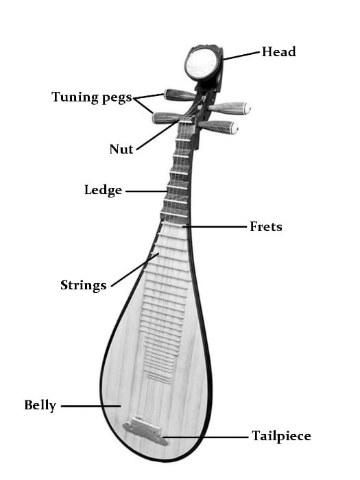 Structure of Pipa.